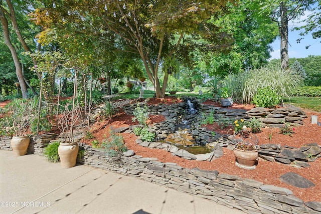 view of yard with a patio area