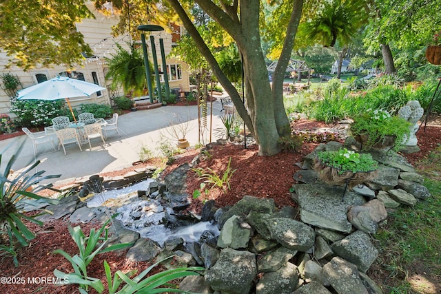 view of yard featuring a patio