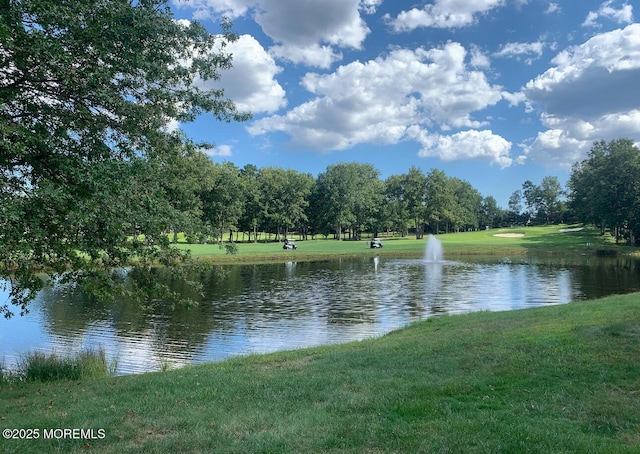 property view of water