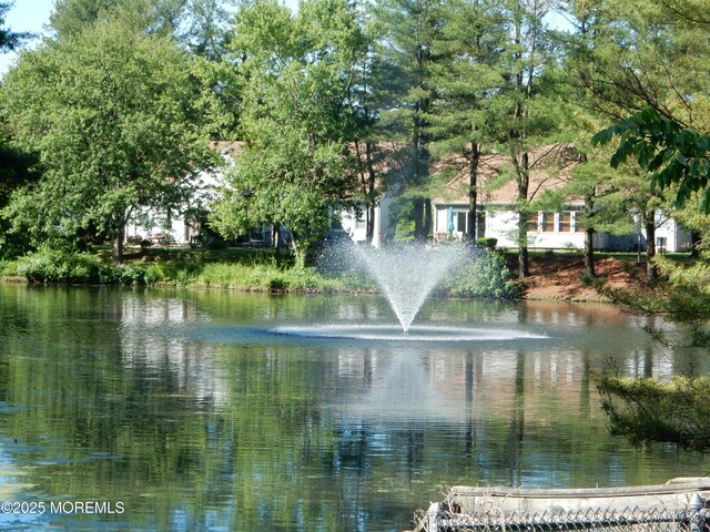 property view of water