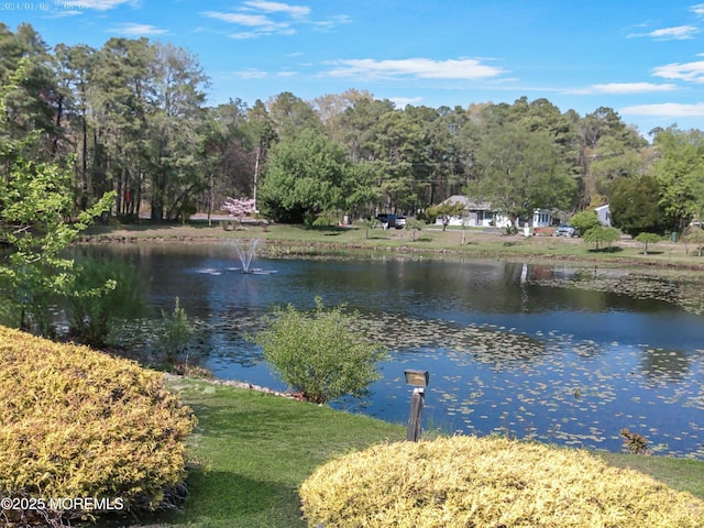 19 Florida Dr Unit A, Whiting, NJ 08759 - water view
