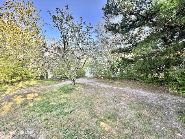 136 Windward Dr, Barnegat, NJ 08005 - view of yard