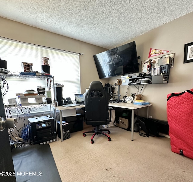136 Windward Dr, Barnegat, NJ 08005 - carpeted office space with a textured ceiling