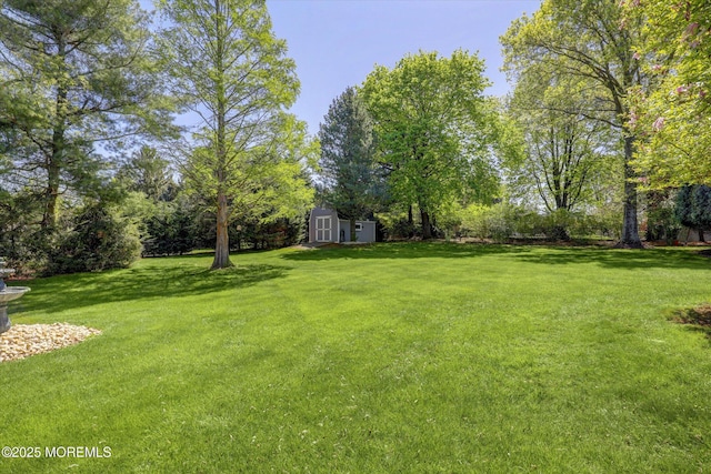 view of grassy yard with a storage shed, an outdoor structure, and view of wooded area
