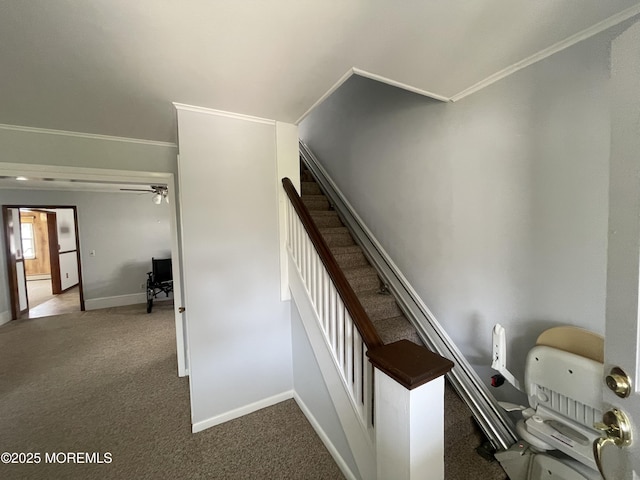 2015 5th Ave, Spring Lake, NJ 07762 - stairs featuring baseboards, ornamental molding, carpet, and a ceiling fan