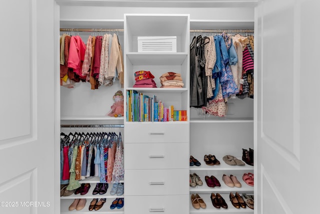 view of closet