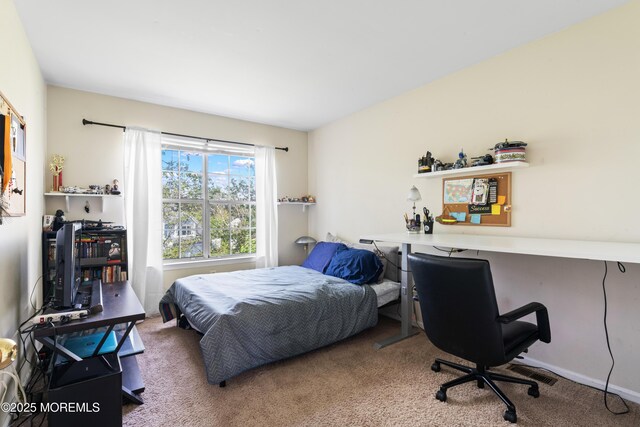 27 Mainbraid Ct, Tinton Falls, NJ 07753 - view of carpeted bedroom