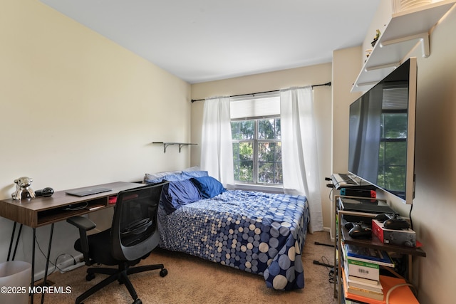 27 Mainbraid Ct, Tinton Falls, NJ 07753 - view of carpeted bedroom
