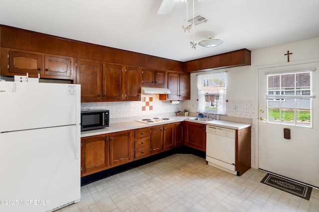 kitchen with visible vents, white appliances, light countertops, under cabinet range hood, and a sink