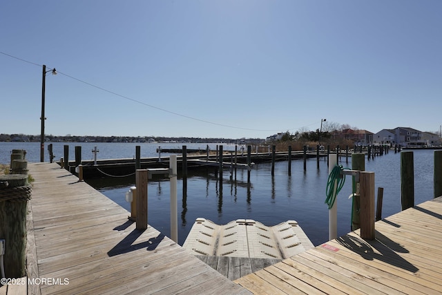 dock area with a water view