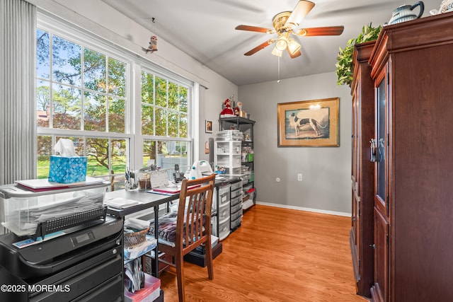 435B New Castle Ct, Manchester, NJ 08759 - office space with light wood-style floors, baseboards, and ceiling fan