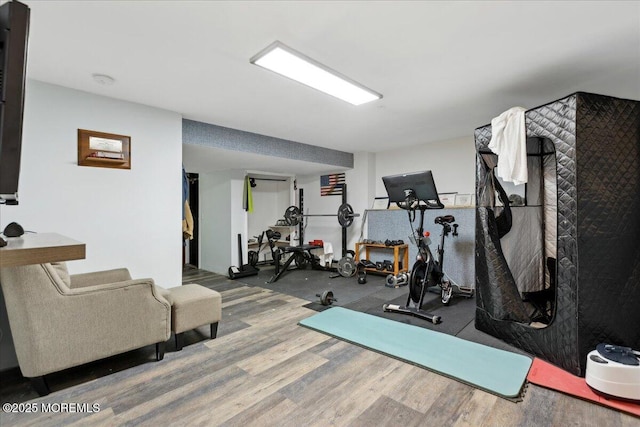 workout room featuring wood finished floors