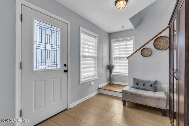 foyer featuring baseboards and a healthy amount of sunlight