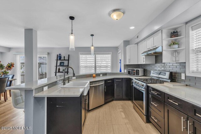 kitchen featuring a sink, appliances with stainless steel finishes, under cabinet range hood, and a wealth of natural light