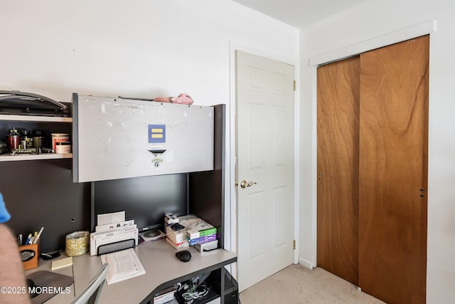 office area featuring light colored carpet