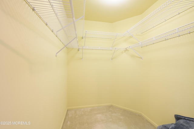2271 Kira Ct, Toms River, NJ 08755 - walk in closet with carpet floors