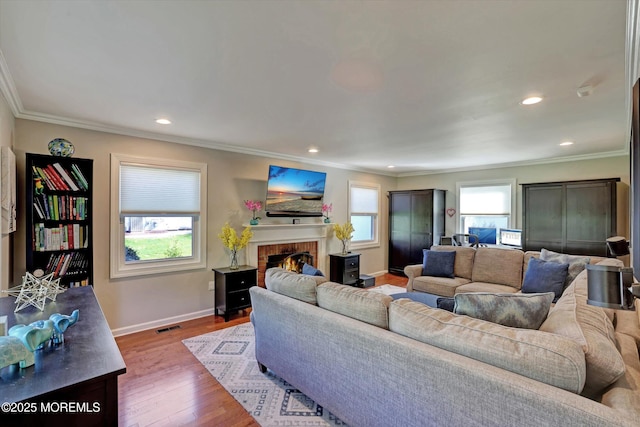 living area featuring baseboards, ornamental molding, wood finished floors, and a fireplace