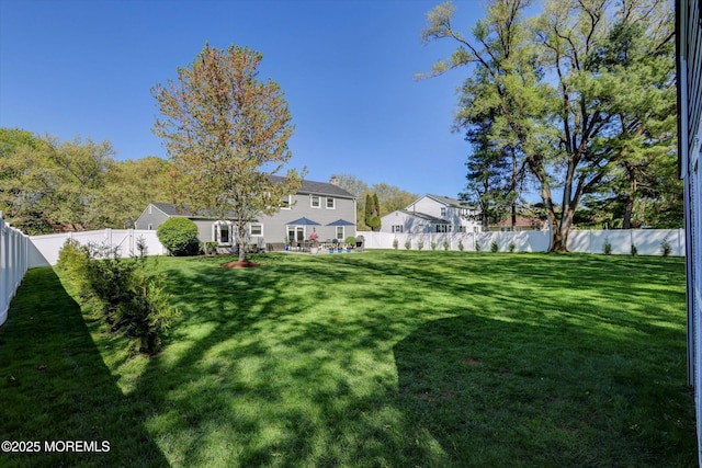 view of yard featuring a fenced backyard and a patio area
