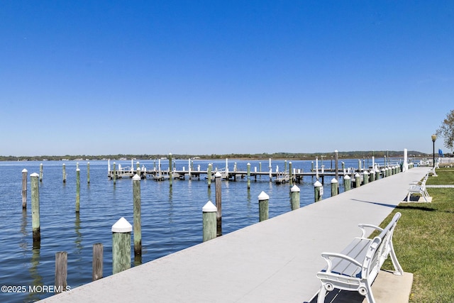 dock area with a water view
