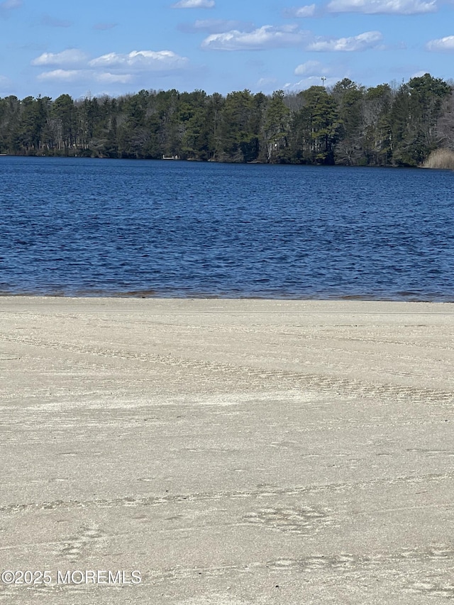 property view of water