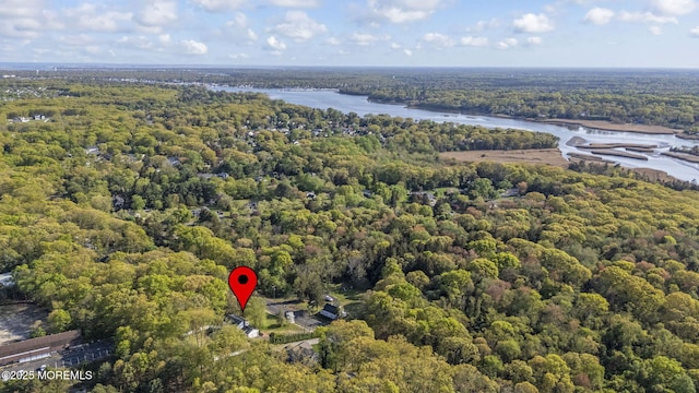 2338 Ramshorn Dr, Allenwood, NJ 08720 - drone / aerial view featuring a water view and a forest view