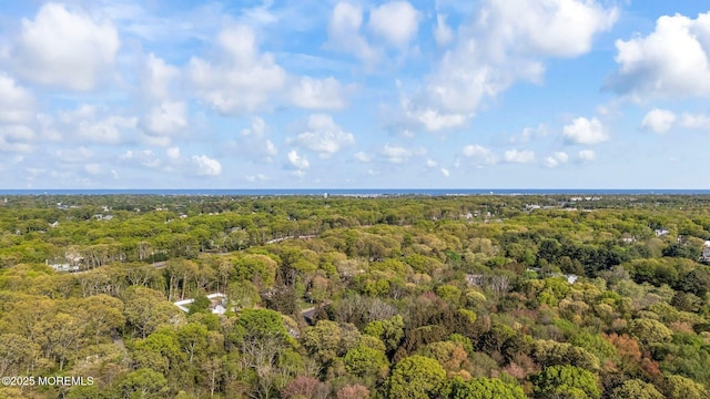 2338 Ramshorn Dr, Allenwood, NJ 08720 - birds eye view of property featuring a wooded view