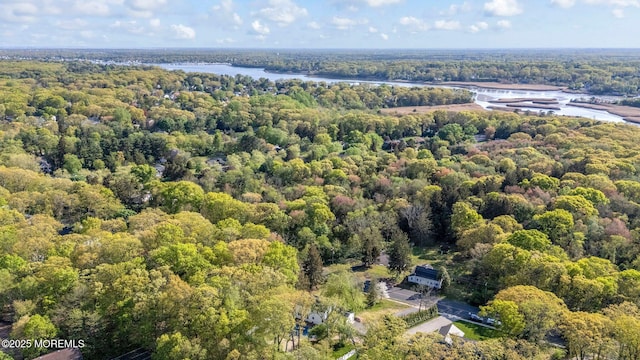 2338 Ramshorn Dr, Allenwood, NJ 08720 - drone / aerial view with a water view and a view of trees