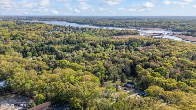2338 Ramshorn Dr, Allenwood, NJ 08720 - drone / aerial view featuring a water view and a wooded view
