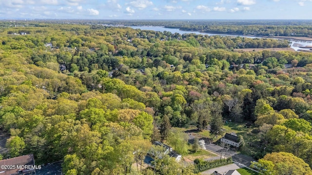 2338 Ramshorn Dr, Allenwood, NJ 08720 - drone / aerial view featuring a water view and a wooded view