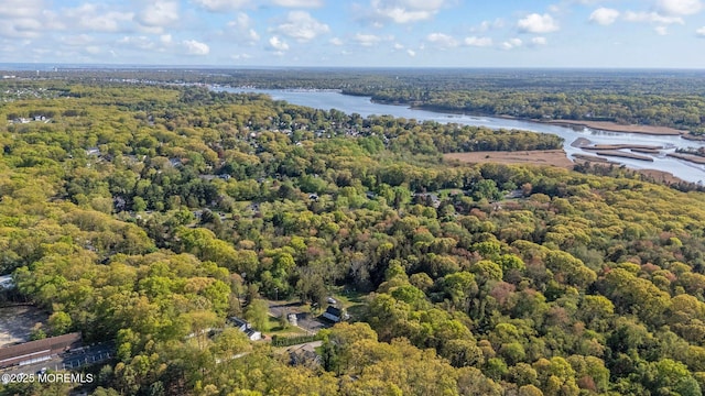 2338 Ramshorn Dr, Allenwood, NJ 08720 - birds eye view of property with a forest view and a water view