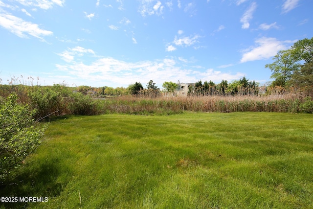 view of grassy yard