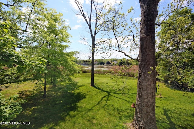 view of grassy yard