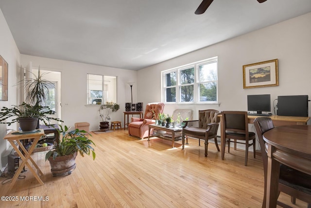 living room featuring a ceiling fan, light wood-style flooring, and a wealth of natural light