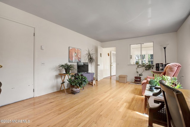living room featuring wood finished floors