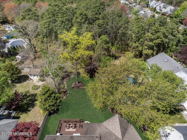 bird's eye view
