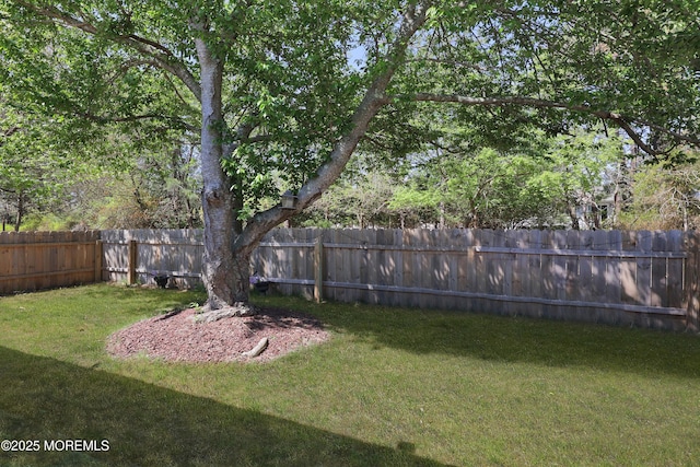471 Saint Thomas Dr, Toms River, NJ 08757 - view of yard with a fenced backyard