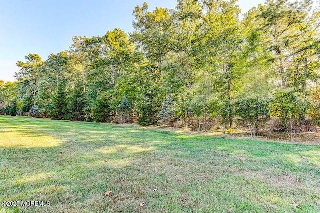 23 Muirfield Rd, Jackson, NJ 08527 - photo 33
