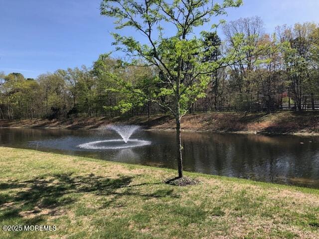 23 Muirfield Rd, Jackson, NJ 08527 - photo 39