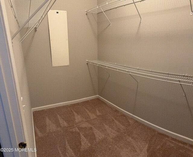 23 Muirfield Rd, Jackson, NJ 08527 - photo 18
