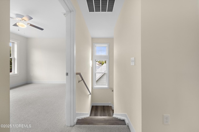 390 Marine St, Tuckerton, NJ 08087 - photo 44