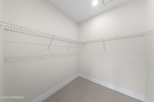 390 Marine St, Tuckerton, NJ 08087 - photo 37