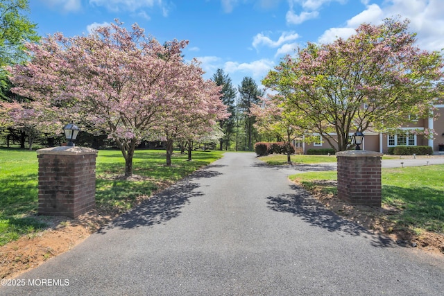 63 Carriage Hill Dr, Colts Neck, NJ 07722 - view of road featuring street lighting