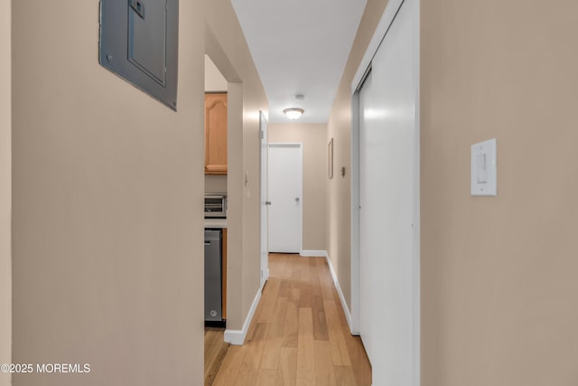hall with baseboards, electric panel, and light wood-style floors