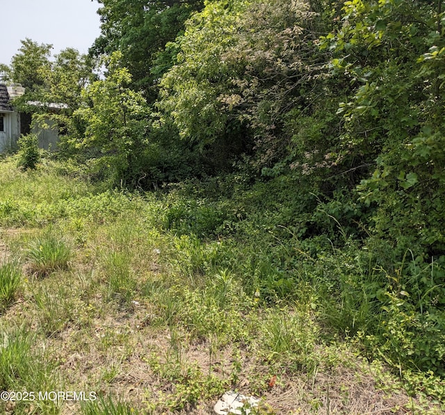 2033 Rte 37, Toms River, NJ 08753