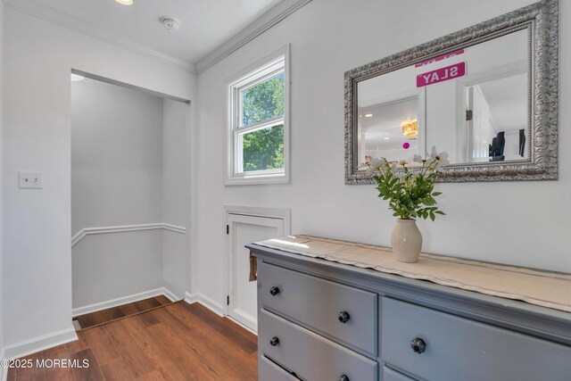 hallway featuring crown molding, baseboards, and dark wood-style floors