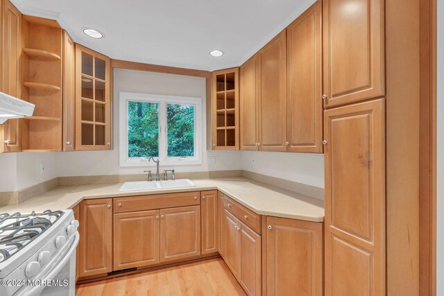 188 Five Points Rd, Colts Neck, NJ 07722 - kitchen with open shelves, glass insert cabinets, recessed lighting, light countertops, and a sink