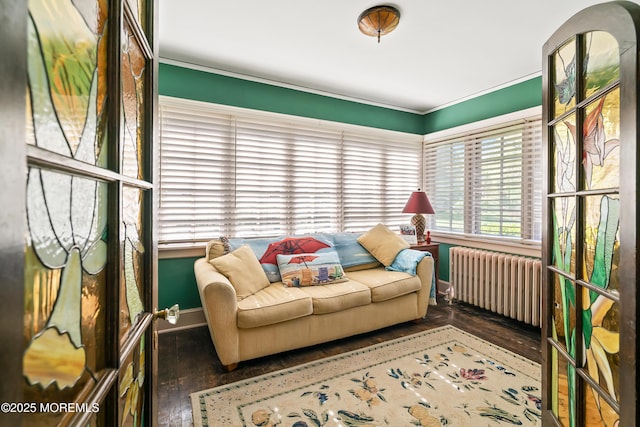 sunroom / solarium featuring radiator