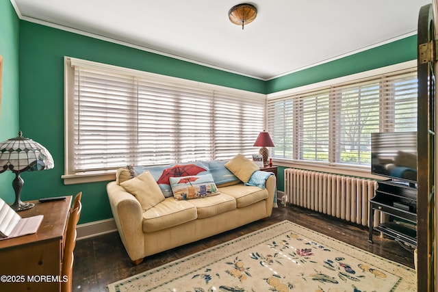 living room with plenty of natural light, radiator, crown molding, and wood-type flooring