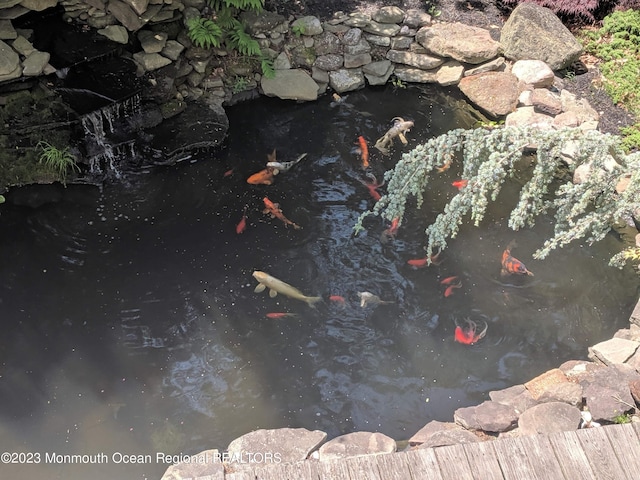 23 Layton Ave, Pine Beach, NJ 08741 - exterior view of a garden pond