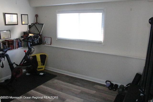 23 Layton Ave, Pine Beach, NJ 08741 - exercise area featuring plenty of natural light and wood finished floors